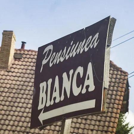 Vendégház Pensiunea Bianca Törcsvár