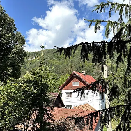 Pensiunea Bianca
